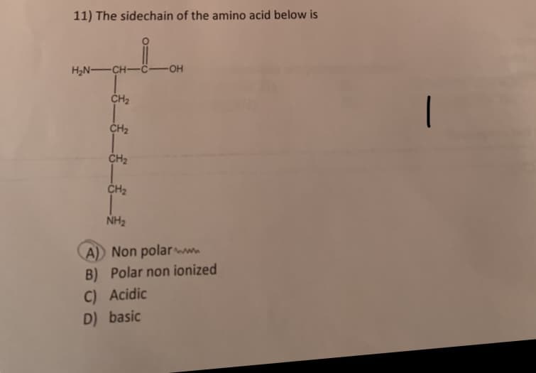 11) The sidechain of the amino acid below is
H₂N-CH-C-OH
CH₂
CH₂
CH₂
CH₂
NH₂
A) Non polar
B) Polar non ionized
C) Acidic
D) basic