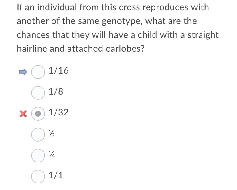 If an individual from this cross reproduces with
another of the same genotype, what are the
chances that they will have a child with a straight
hairline and attached earlobes?
1/16
O 1/8
1/32
O 1/1
