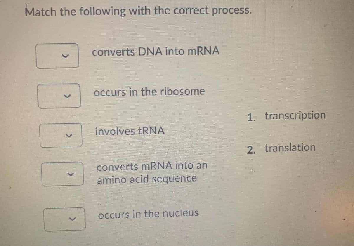 Match the following with the correct process.
converts DNA into mRNA
Occurs in the ribosome
1. transcription
involves tRNA
2. translation
converts mRNA into an
amino acid sequence
occurs in the nucleus
<>
<>
<>
