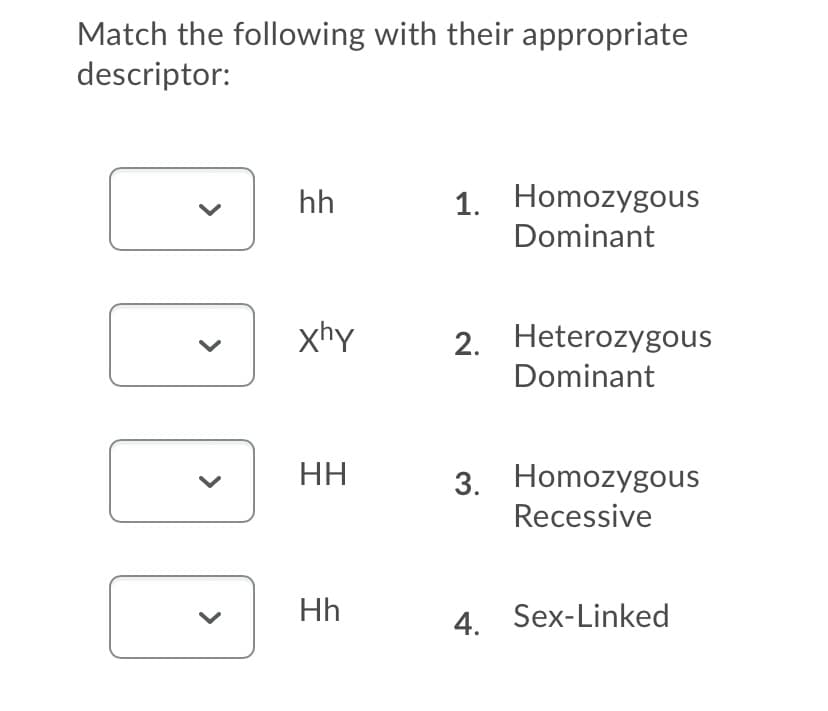 Match the following with their appropriate
descriptor:
1. Homozygous
Dominant
hh
xhy
2. Heterozygous
Dominant
3. Homozygous
Recessive
HH
Hh
4. Sex-Linked
>

