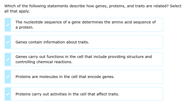 Which of the following statements describe how genes, proteins, and traits are related? Select
all that apply.
The nucleotide sequence of a gene determines the amino acid sequence of
a protein.
Genes contain information about traits.
Genes carry out functions in the cell that include providing structure and
controlling chemical reactions.
Proteins are molecules in the cell that encode genes.
Proteins carry out activities in the cell that affect traits.
