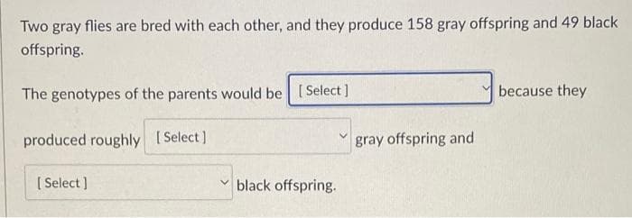 Two gray flies are bred with each other, and they produce 158 gray offspring and 49 black
offspring.
The genotypes of the parents would be [Select ]
because they
produced roughly [Select)
gray offspring and
( Select ]
v black offspring.
