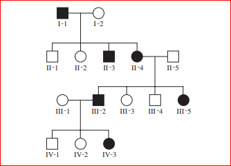 I-1
I-2
П-1
II-2
II-3
II-4
II-5
III-1
Ш-2
III-3
III-4
III-5
IV-1
IV-2
IV-3
