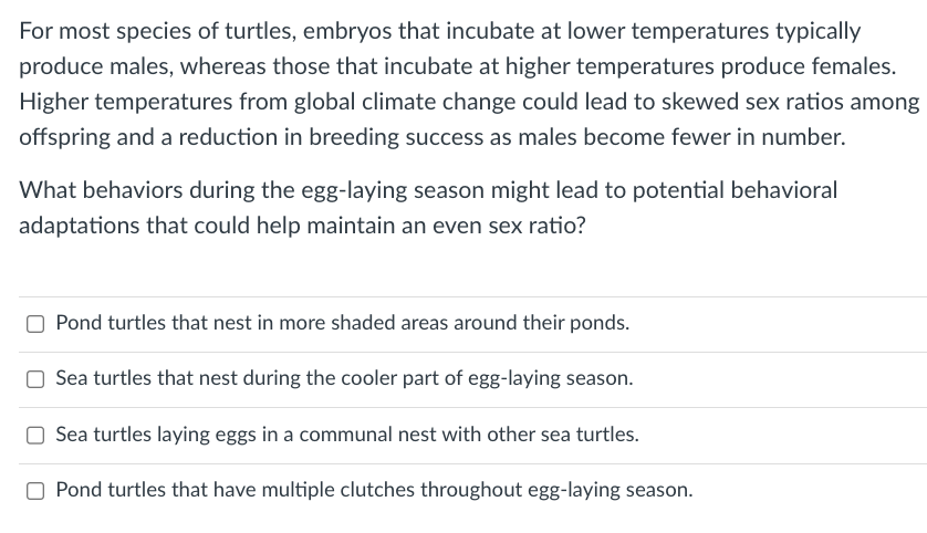For most species of turtles, embryos that incubate at lower temperatures typically
produce males, whereas those that incubate at higher temperatures produce females.
Higher temperatures from global climate change could lead to skewed sex ratios among
offspring and a reduction in breeding success as males become fewer in number.
What behaviors during the egg-laying season might lead to potential behavioral
adaptations that could help maintain an even sex ratio?
Pond turtles that nest in more shaded areas around their ponds.
Sea turtles that nest during the cooler part of egg-laying season.
Sea turtles laying eggs in a communal nest with other sea turtles.
Pond turtles that have multiple clutches throughout egg-laying season.