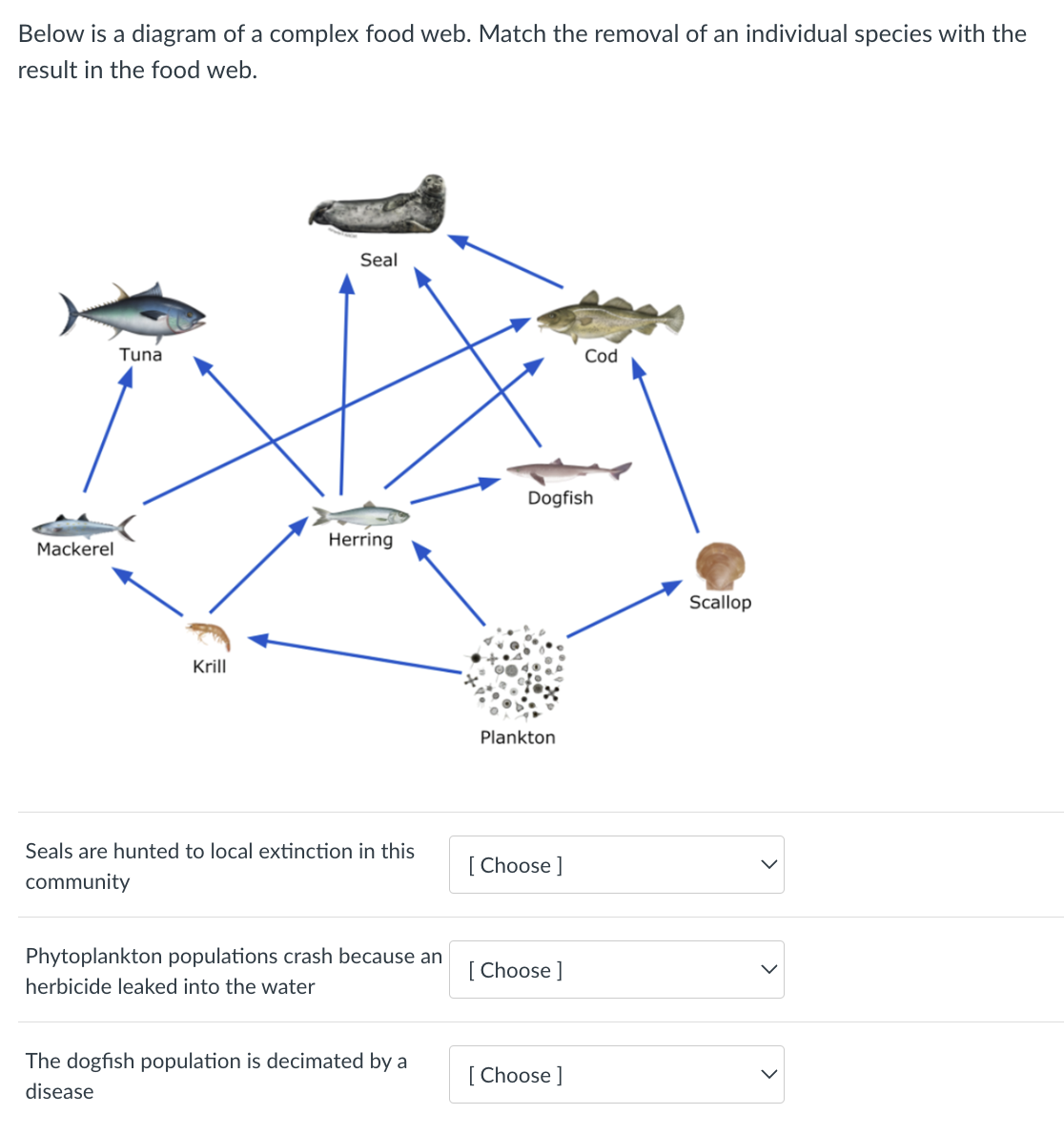 Below is a diagram of a complex food web. Match the removal of an individual species with the
result in the food web.
Mackerel
Tuna
Krill
Seal
Herring
Seals are hunted to local extinction in this
community
Phytoplankton populations crash because an
herbicide leaked into the water
The dogfish population is decimated by a
disease
Dogfish
Plankton
[Choose ]
[Choose ]
Cod
[Choose ]
Scallop
>
>