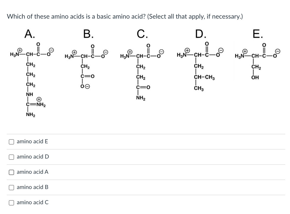 Which of these amino acids is a basic amino acid? (Select all that apply, if necessary.)
A.
B.
C.
D.
O
MNCHI MCHEⓇ
||
H₂N-
H₂N-
CH-C-
CH₂
CH₂
CH₂
C=O
CH₂
Oe
NH
+
C=NH2
NH₂
amino acid E
amino acid D
amino acid A
amino acid B
amino acid C
H₂N-CH-
CH₂
T
CH₂
C=O
T
NH₂
H₂NⓇ
용_。
CH₂
CH-CH3
CH3
E.
H₂N-CH-C-0
CH₂
OH