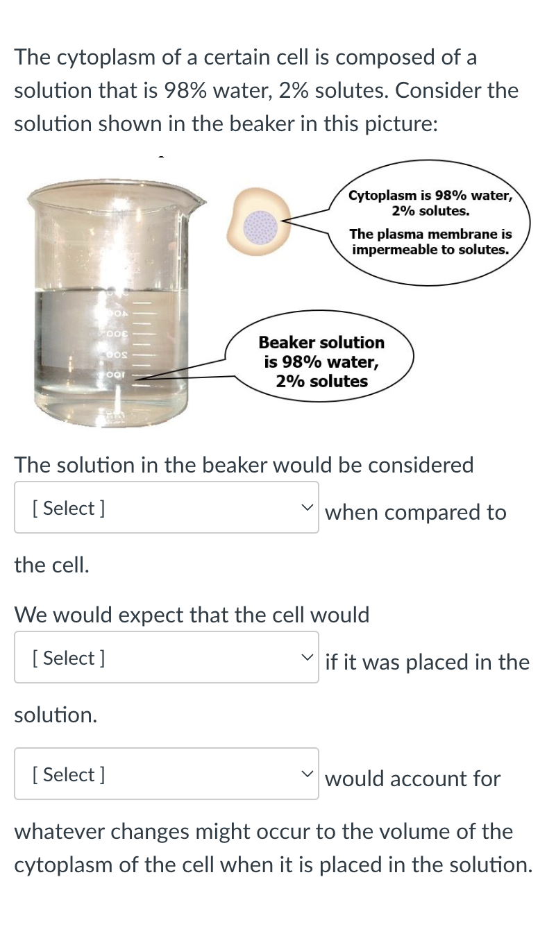 The cytoplasm of a certain cell is composed of a
solution that is 98% water, 2% solutes. Consider the
solution shown in the beaker in this picture:
FOOE
OOS
Foor
solution.
[Select]
Cytoplasm is 98% water,
2% solutes.
The solution in the beaker would be considered
when compared to
[Select]
The plasma membrane is
impermeable to solutes.
Beaker solution
is 98% water,
2% solutes
the cell.
We would expect that the cell would
[Select]
if it was placed in the
would account for
whatever changes might occur to the volume of the
cytoplasm of the cell when it is placed in the solution.