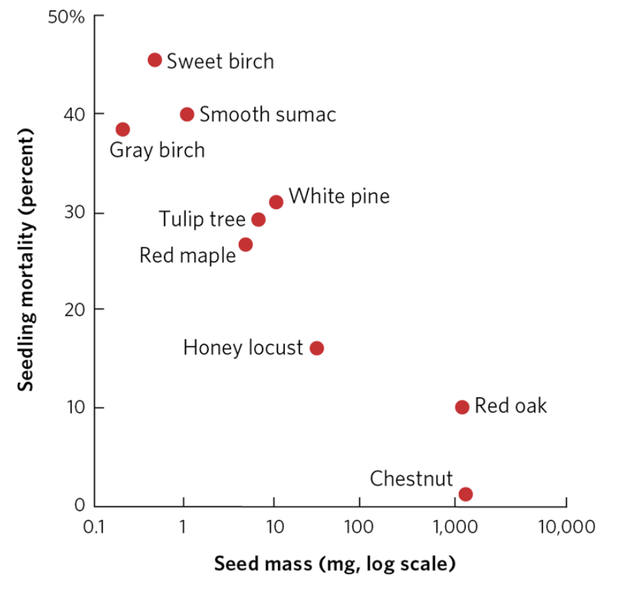 Seedling mortality (percent)
50%
40
30
20
10
0
0.1
Sweet birch
Smooth sumac
Gray birch
Tulip tree
Red maple
1
White pine
Honey locust
Chestnut
10
Seed mass (mg, log scale)
100
Red oak
1,000
10,000