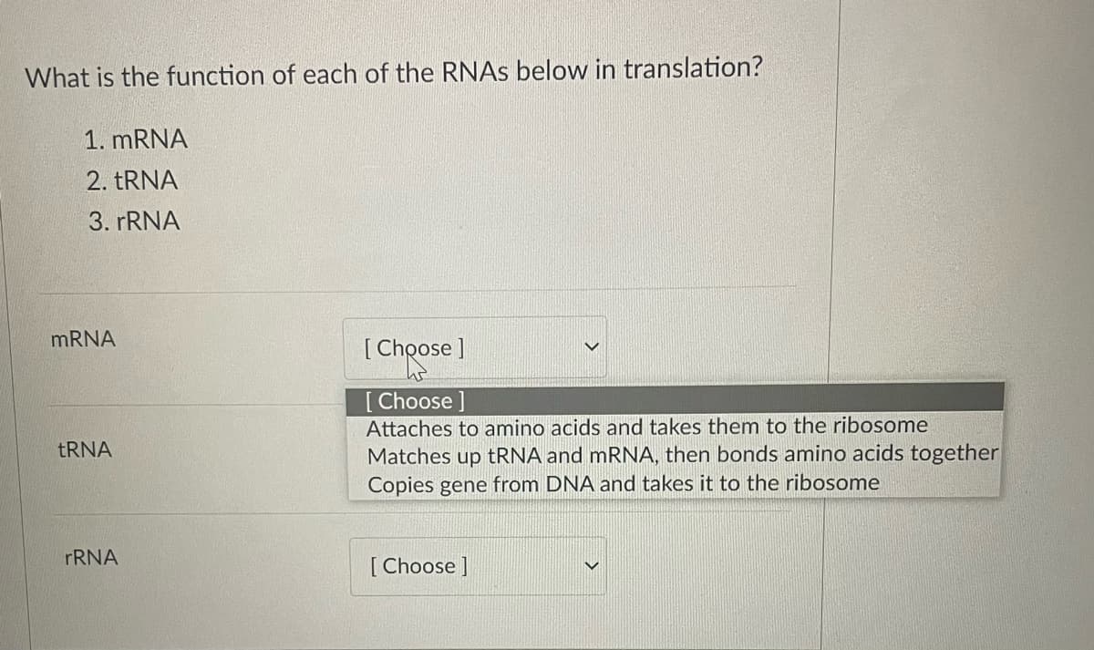 What is the function of each of the RNAs below in translation?
1. mRNA
2. tRNA
3. rRNA
mRNA
tRNA
rRNA
[Choose ]
Choose ]
Attaches to amino acids and takes them to the ribosome
Matches up tRNA and mRNA, then bonds amino acids together
Copies gene from DNA and takes it to the ribosome
[Choose