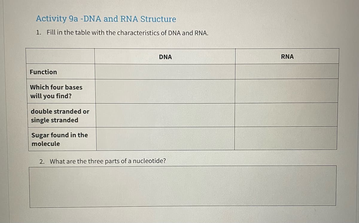 Activity 9a -DNA and RNA Structure
1. Fill in the table with the characteristics of DNA and RNA.
Function
Which four bases
will you find?
double stranded or
single stranded
Sugar found in the
molecule
DNA
2. What are the three parts of a nucleotide?
RNA