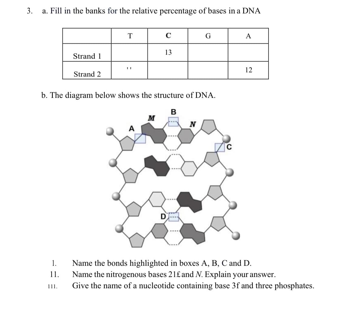 3.
a. Fill in the banks for the relative percentage of bases in a DNA
T
A
13
Strand 1
12
Strand 2
b. The diagram below shows the structure of DNA.
В
M
1.
Name the bonds highlighted in boxes A, B, C and D.
Name the nitrogenous bases 21£and N. Explain your answer.
11.
111.
Give the name of a nucleotide containing base 3f and three phosphates.
