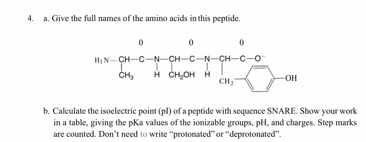 4.
a. Give the full names of the amino acids in this peptide.
НзN — CH—С-N—CH— С-N—CH—С—О
ČH3
H ČH,OH
H.
CH2
-ОН
b. Calculate the isoelectric point (pl) of a peptide with
sequence
SNARE. Show
your work
in a table, giving the pKa values of the ionizable groups, pH, and charges. Step marks
are counted. Don't need to write “protonated" or “deprotonated".
