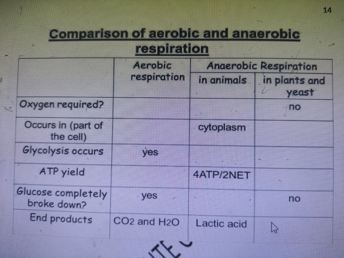 14
Comparison of aerobic and anaerobic
respiration
Aerobic
respiration
Anaerobic Respiration
in plants and
yeast
in animals
Oxygen required?
no
Occurs in (part of
the cell)
Glycolysis occurs
cytoplasm
yes
ATP yield
4ATP/2NET
Glucose completely
broke down?
yes
no
End products
CO2 and H20
Lactic acid
TE
