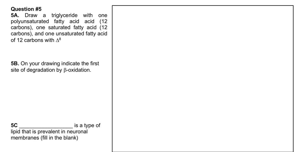 Question #5
5A. Draw a triglyceride with one
polyunsaturated fatty acid acid (12
carbons), one saturated fatty acid (12
carbons), and one unsaturated fatty acid
of 12 carbons with 48
5B. On your drawing indicate the first
site of degradation by ß-oxidation.
5C
is a type of
lipid that is prevalent in neuronal
membranes (fill in the blank)