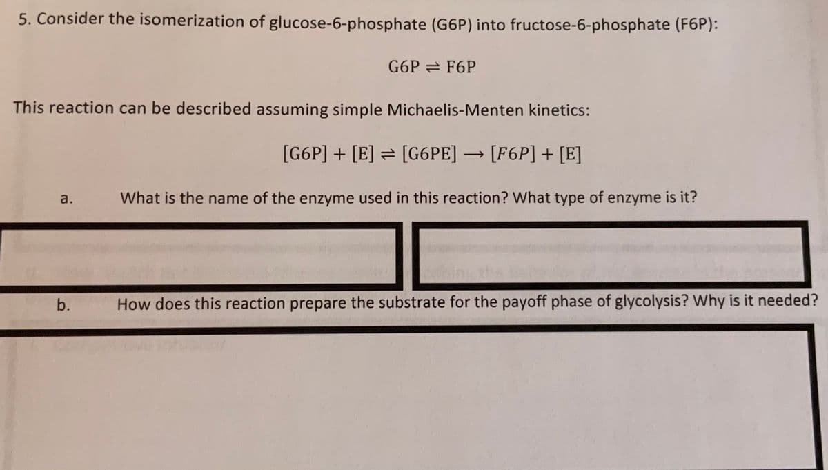 5. Consider the isomerization of glucose-6-phosphate (G6P) into fructose-6-phosphate (F6P):
G6PF6P
This reaction can be described assuming simple Michaelis-Menten kinetics:
[G6P] + [E] = [G6PE] → [F6P] + [E]
-
a.
What is the name of the enzyme used in this reaction? What type of enzyme is it?
b.
How does this reaction prepare the substrate for the payoff phase of glycolysis? Why is it needed?
