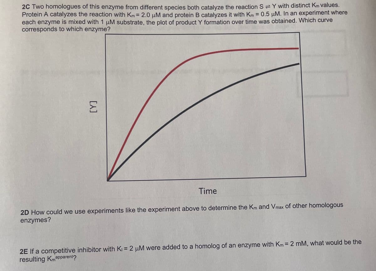 2C Two homologues of this enzyme from different species both catalyze the reaction SY with distinct Km values.
Protein A catalyzes the reaction with Km = 2.0 μM and protein B catalyzes it with Km = 0.5 µM. In an experiment where
each enzyme is mixed with 1 μM substrate, the plot of product Y formation over time was obtained. Which curve
corresponds to which enzyme?
Time
2D How could we use experiments like the experiment above to determine the Km and Vmax of other homologous
enzymes?
2E If a competitive inhibitor with K₁=2 µM were added to a homolog of an enzyme with Km = 2 mM, what would be the
resulting Kmapparent?
[X]