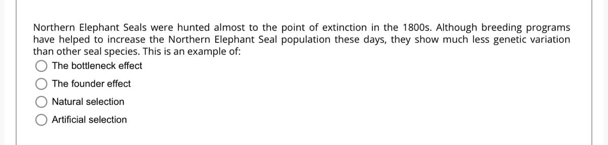 Northern Elephant Seals were hunted almost to the point of extinction in the 1800s. Although breeding programs
have helped to increase the Northern Elephant Seal population these days, they show much less genetic variation
than other seal species. This is an example of:
The bottleneck effect
The founder effect
Natural selection
Artificial selection
