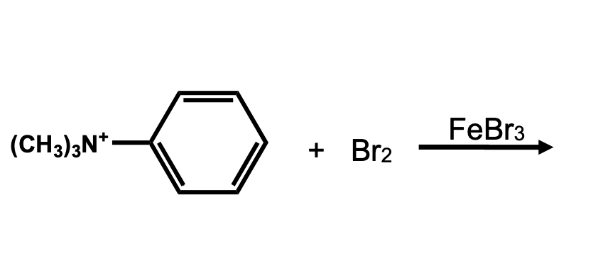 (CH3)3N+
+ Br2
FeBr3