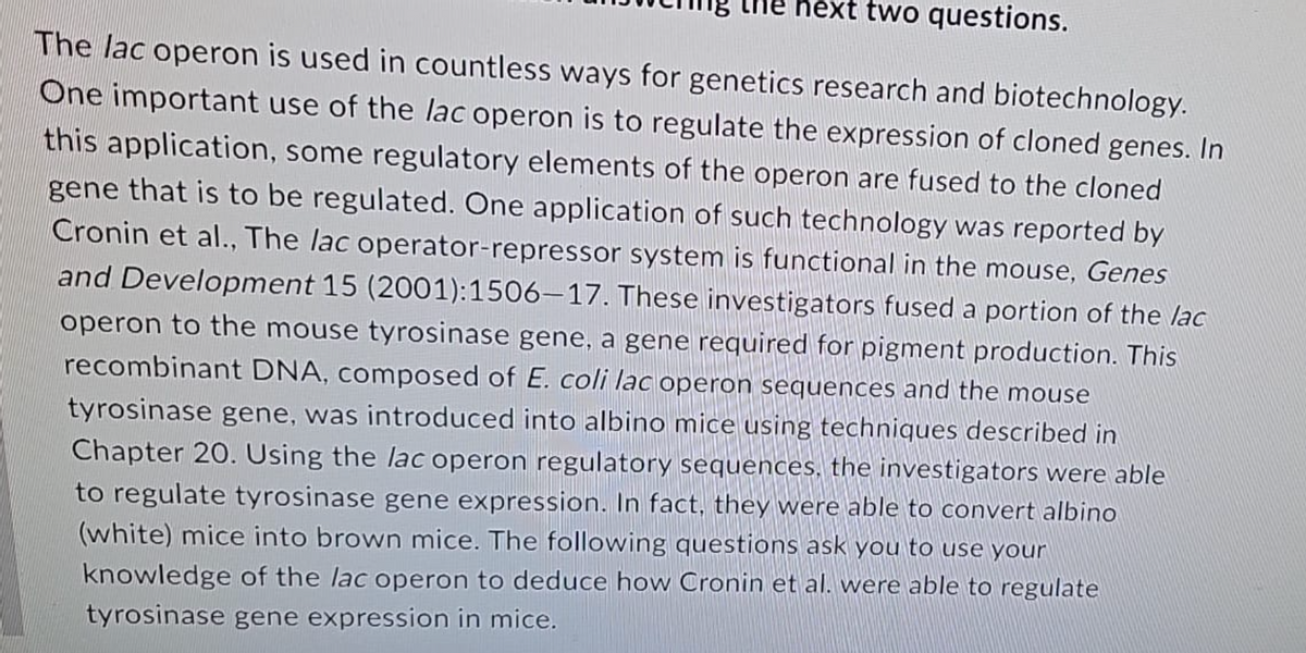 hext two questions.
The lac operon is used in countless ways for genetics research and biotechnology.
One important use of the lac operon is to regulate the expression of cloned genes. In
this application, some regulatory elements of the operon are fused to the cloned
gene that is to be regulated. One application of such technology was reported by
Cronin et al., The lac operator-repressor system is functional in the mouse, Genes
and Development 15 (2001):1506-17. These investigators fused a portion of the lac
operon to the mouse tyrosinase gene, a gene required for pigment production. This
recombinant DNA, composed of E. coli lac operon sequences and the mouse
tyrosinase gene, was introduced into albino mice using techniques described in
Chapter 20. Using the lac operon regulatory sequences, the investigators were able
to regulate tyrosinase gene expression. In fact, they were able to convert albino
(white) mice into brown mice. The following questions ask you to use your
knowledge of the lac operon to deduce how Cronin et al. were able to regulate
tyrosinase gene expression in mice.