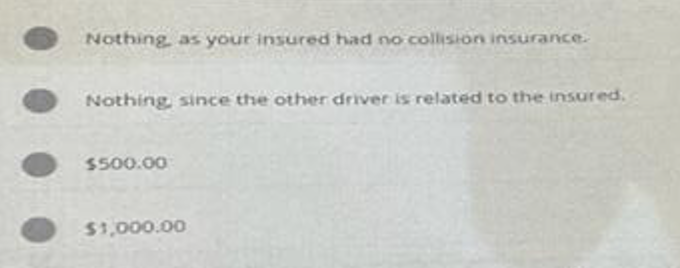 Nothing, as your insured had no collision insurance.
Nothing, since the other driver is related to the insured.
$500.00
$1,000.00