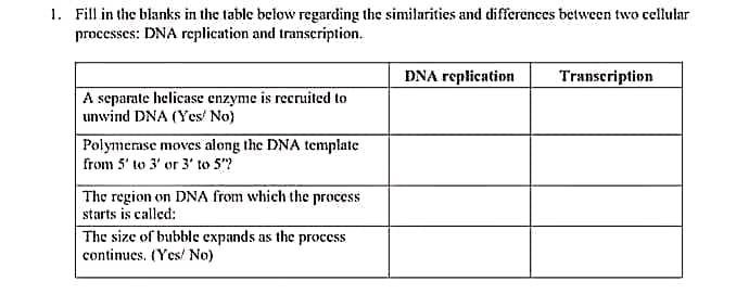 1. Fill in the blanks in the table below regarding the similarities and differences between two cellular
processes: DNA replication and transeription.
DNA replication
Transcription
A separate helicase enzyme is recruited to
unwind DNA (Yes/ No)
| Polymerase moves along the DNA template
from 5' to 3' or 3' to 5"?
The region on DNA from which the process
starts is called:
The size of bubble expands as the proccss
continues. (Yes/ No)
