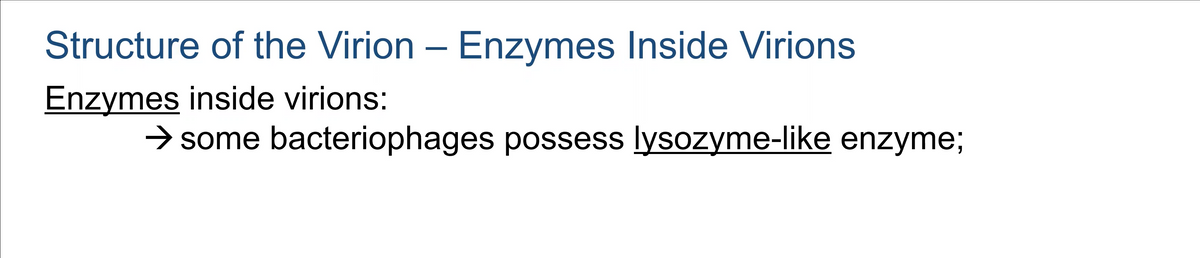 Structure of the Virion – Enzymes Inside Virions
Enzymes inside virions:
> some bacteriophages possess lysozyme-like enzyme;
