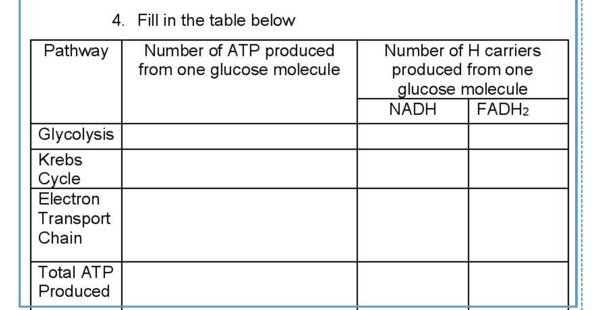 4. Fill in the table below
Pathway Number of ATP produced
from one glucose molecule
Glycolysis
Krebs
Cycle
Electron
Transport
Chain
Total ATP
Produced
Number of H carriers
produced from one
glucose molecule
FADH2
NADH