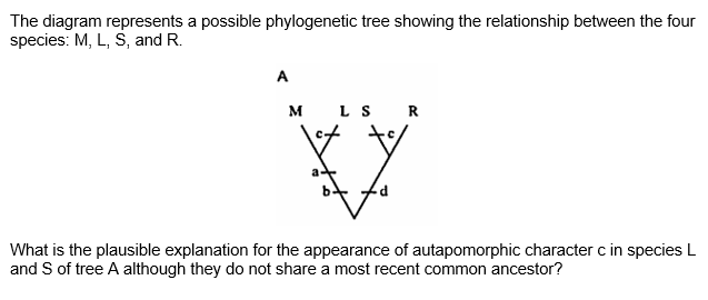 The diagram represents a possible phylogenetic tree showing the relationship between the four
species: M, L, S, and R.
A
M
LS R
V
What is the plausible explanation for the appearance of autapomorphic character c in species L
and S of tree A although they do not share a most recent common ancestor?