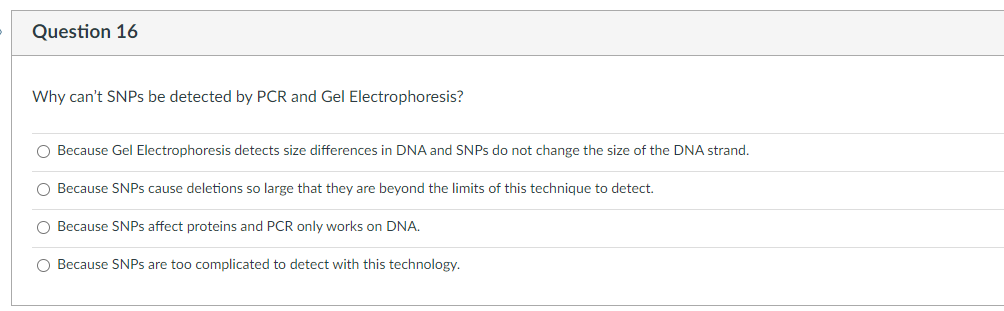 Question 16
Why can't SNPS be detected by PCR and Gel Electrophoresis?
O Because Gel Electrophoresis detects size differences in DNA and SNPS do not change the size of the DNA strand.
O Because SNPS cause deletions so large that they are beyond the limits of this technique to detect.
O Because SNPS affect proteins and PCR only works on DNA.
O Because SNPS are too complicated to detect with this technology.

