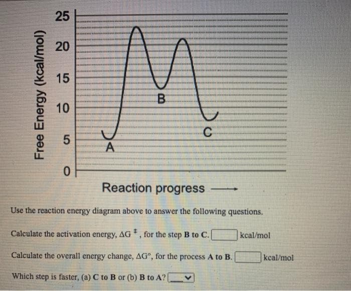 25
20
15
B.
10
C
5
A
Reaction progress
Use the reaction energy diagram above to answer the following questions.
Calculate the activation energy, AG
for the step B to C.
kcal/mol
Calculate the overall energy change, AG°, for the process A to B.
kcal/mol
Which step is faster, (a) C to B or (b) B to A?|
Free Energy (kcal/mol)
