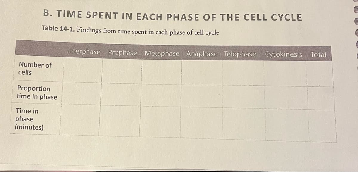 B. TIME SPENT IN EACH PHASE OF THE CELL CYCLE
Table 14-1. Findings from time spent in each phase of cell cycle
Interphase Prophase Metaphase Anaphase Telophase Cytokinesis Total
Number of
cells
Proportion
time in phase
Time in
phase
(minutes)