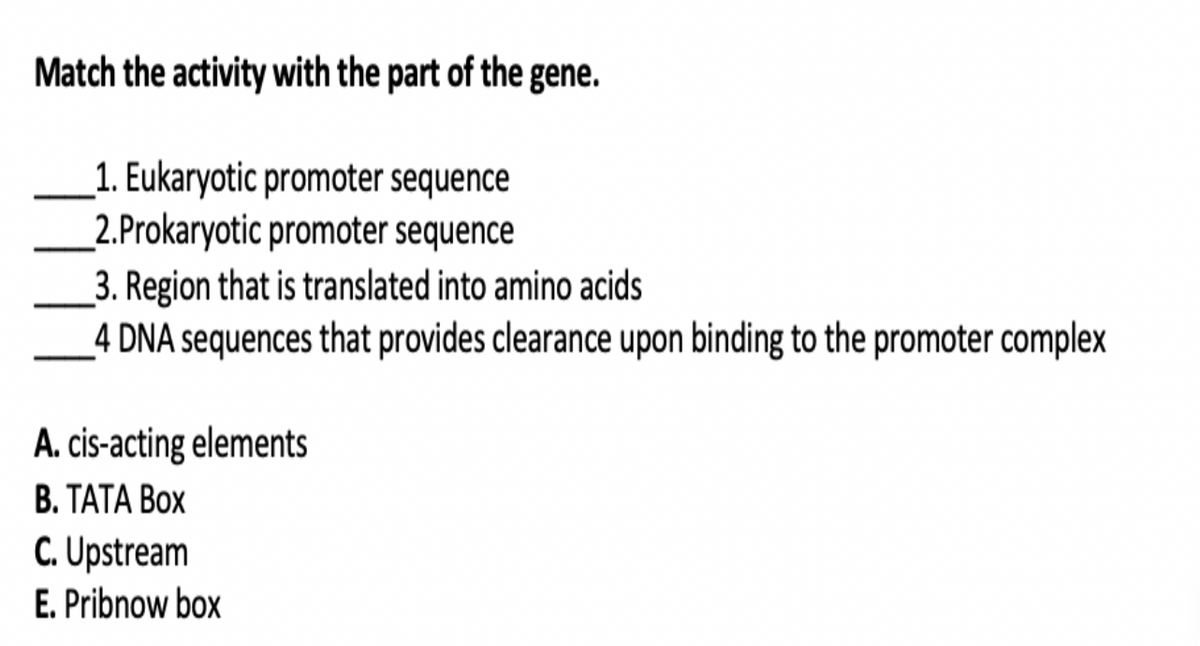Match the activity with the part of the gene.
1. Eukaryotic promoter sequence
2.Prokaryotic promoter sequence
3. Region that is translated into amino acids
_4 DNA sequences that provides clearance upon binding to the promoter complex
A. cis-acting elements
В. ТАТА Вох
C. Upstream
E. Pribnow box
