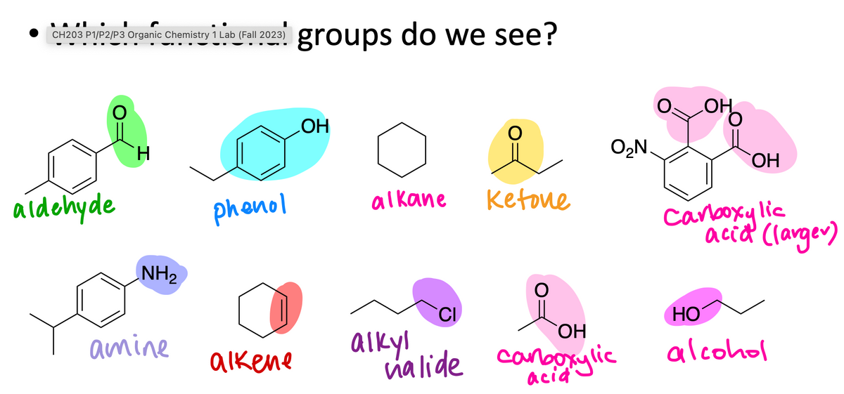 CH203 P1/P2/P3 Organic Chemistry 1 Lab (Fall 2023)
aldehyde
H
NH₂
amine
phenol
alkene
groups do we see?
OH
alkane
CI
alkyl
ketone
O₂N.
OH
halide carboxylic
acid
LOHO
OH
Carboxylic
acid (larger)
HO
alcohol