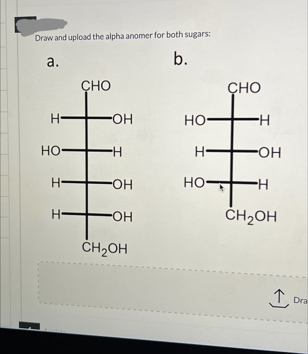 Draw and upload the alpha anomer for both sugars:
b.
a.
CHO
CHO
H-
⚫OH
HO
-H
HO
H
H
⚫OH
H-
H-
H
OH
HO
•H
-OH
CH2OH
CH2OH
Dra
I Dr