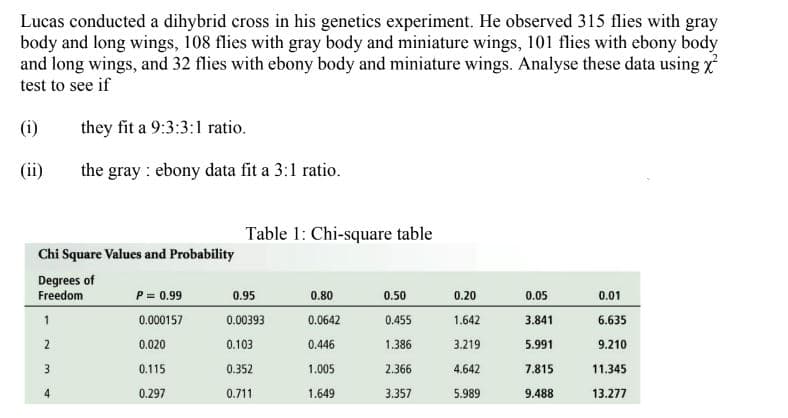 Lucas conducted a dihybrid cross in his genetics experiment. He observed 315 flies with gray
body and long wings, 108 flies with gray body and miniature wings, 101 flies with ebony body
and long wings, and 32 flies with ebony body and miniature wings. Analyse these data using x
test to see if
(i)
they fit a 9:3:3:1 ratio.
(ii)
the gray : ebony data fit a 3:1 ratio.
Table 1: Chi-square table
Chi Square Values and Probability
Degrees of
Freedom
P= 0.99
0.95
0.80
0.50
0.20
0.05
0.01
1
0.000157
0.00393
0.0642
0.455
1.642
3.841
6.635
2
0.020
0.103
0.446
1.386
3.219
5.991
9.210
3.
0.115
0.352
1.005
2.366
4.642
7.815
11.345
4
0.297
0.711
1.649
3.357
5.989
9.488
13.277
