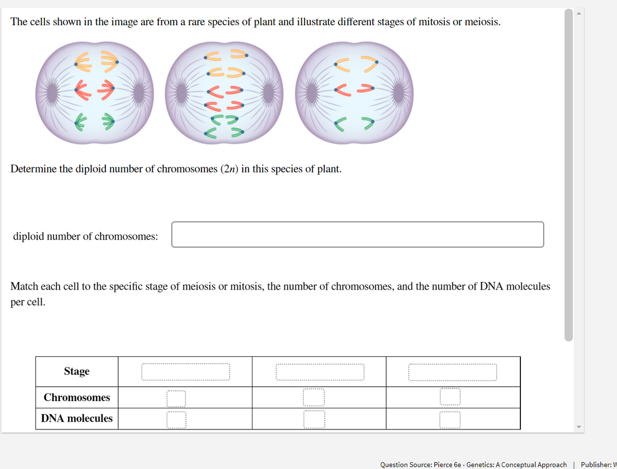 The cells shown in the image are from a rare species of plant and illustrate different stages of mitosis or meiosis.
Determine the diploid number of chromosomes (2n) in this species of plant.
diploid number of chromosomes:
Match each cell to the specific stage of meiosis or mitosis, the number of chromosomes, and the number of DNA molecules
per cell.
Stage
Chromosomes
DNA molecules
Question Source: Pierce 6e - Genetics: A Conceptual Approach | Publisher: W
