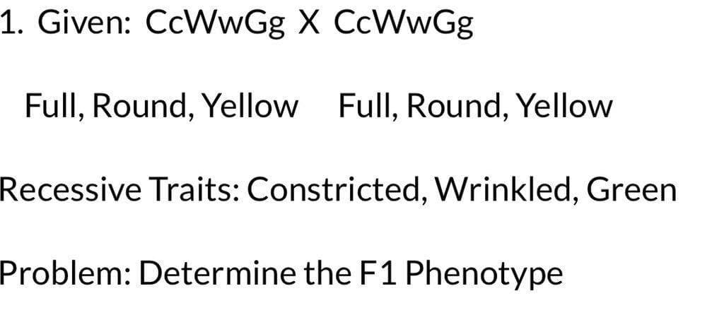 1. Given: CcWwGg X CcWwGg
Full, Round, Yellow Full, Round, Yellow
Recessive Traits: Constricted, Wrinkled, Green
Problem: Determine the F1 Phenotype