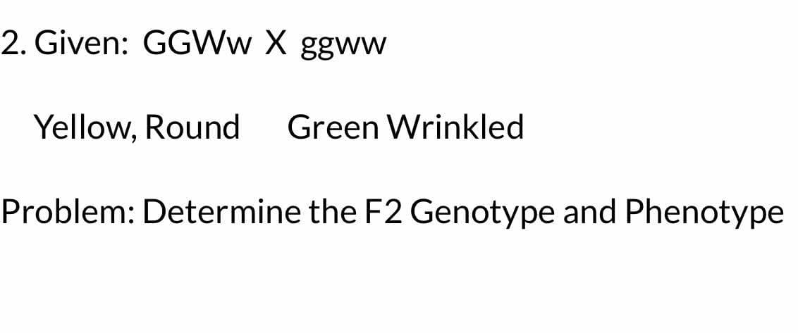 2. Given: GGWw X ggww
Yellow, Round Green Wrinkled
Problem: Determine the F2 Genotype and Phenotype