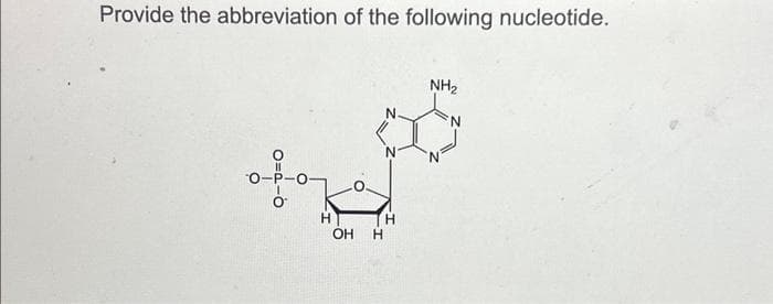 Provide the abbreviation of the following nucleotide.
O-P-O
H
OH
H
H
NH₂
N