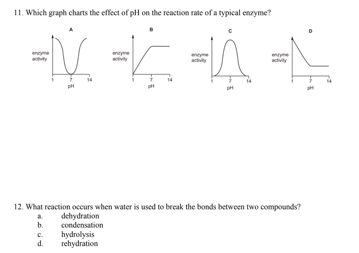 11. Which graph charts the effect of pH on the reaction rate of a typical enzyme?
enzyme
=V
activity
1
7
pH
a.
b.
14
C.
d.
enzyme
activity
hydrolysis
rehydration
1
B
T
7
pH
14
enzyme
activity
7
pH
14
12. What reaction occurs when water is used to break the bonds between two compounds?
dehydration
condensation
enzyme
activity
1
D
pH
14