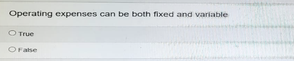 Operating expenses can be both fixed and variable
True
O False