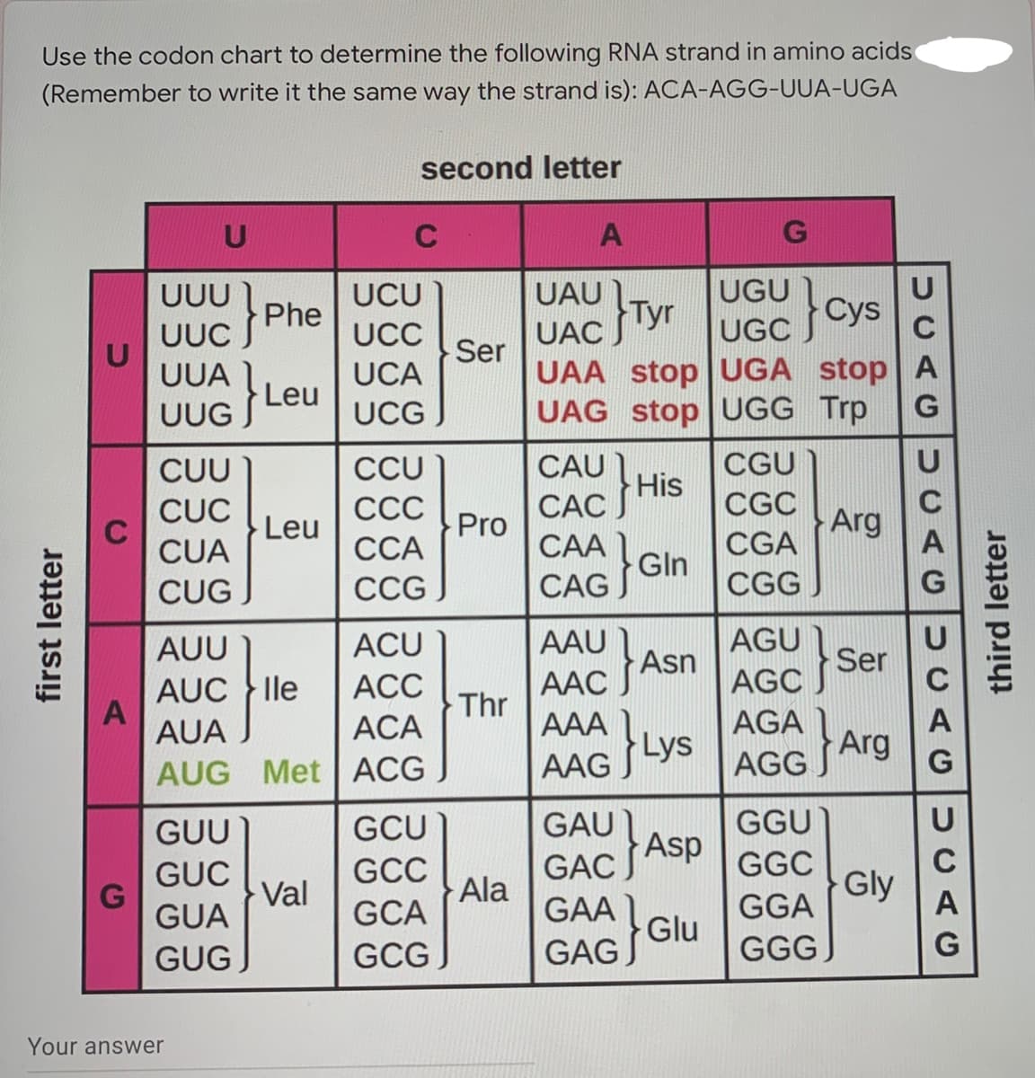 Use the codon chart to determine the following RNA strand in amino acids
(Remember to write it the same way the strand is): ACA-AGG-UUA-UGA
second letter
C
A
UAU Tyr
U
UUU
UCU
UGU
Phe
Cys
UUC
UCC
UAC
UGC
C
Ser
UAA stop | UGA stop| A
UAG stop UGG Trp
UUA
UCA
UUG Le
UCG
CUU
CCU
CAU
CGU
His
CUC
ССС
CAC
CGC
Leu
Pro
Arg
CUA
ССА
САА
CGA
Gln
СCG
CAG
CGG
CUG
AGU
AAU
Asn
AUU
ACU
Ser
AGC S
AGA Arg
AAC
AUC } lle
A
AUA
АСC
Thr
AAA
Lys
АСА
AUG Met ACG
AAG
AGG
GUU
GCU
GAU
GGU
Asp
GAC
GGC
Gly
GGA
GCC
GUC
Val
Ala
GAA
GAG
}
GUA
GCA
Glu
GGG
GUG
GCG
Your answer
first letter
ACUCAGUCAGUCAG
third letter
