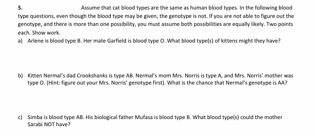 5.
Assume that cat blood types are the same as human blood types. In the following blood
type questions, even though the blood type may be given, the genotype is not. If you are not able to figure out the
genotype, and there is more than one possibility, you must assume both possibilities are equally likely. Two points
each. Show work.
a) Arlene is blood type B. Her mate Garfield is blood type O. What blood type(s) of kittens might they have?
b) Kitten Nermal's dad Crookshanks is type AB. Nermal's mom Mrs. Norris is type A, and Mrs. Norris' mother was
type O. (Hint: figure out your Mrs. Norris' genotype first). What is the chance that Nermal's genotype is AA?
c) Simba is blood type AB. His biological father Mufasa is blood type B. What blood type(s) could the mother
Sarabi NOT have?
