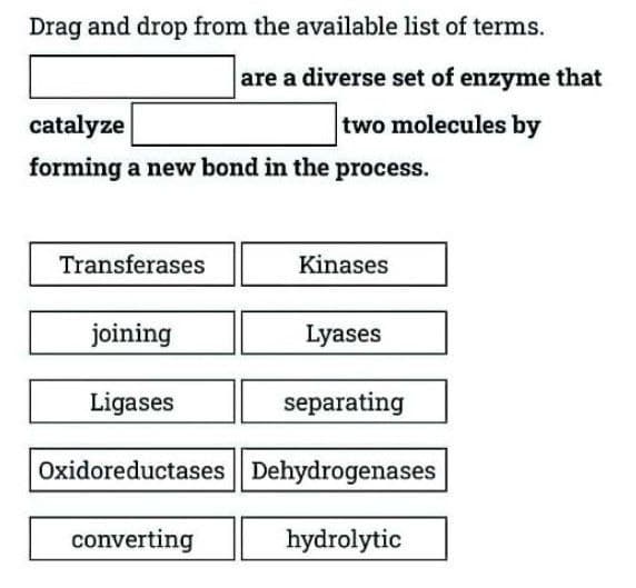 Drag and drop from the available list of terms.
are a diverse set of enzyme that
catalyze
two molecules by
forming a new bond in the process.
Transferases
Kinases
joining
Lyases
Ligases
separating
Oxidoreductases Dehydrogenases
converting
hydrolytic