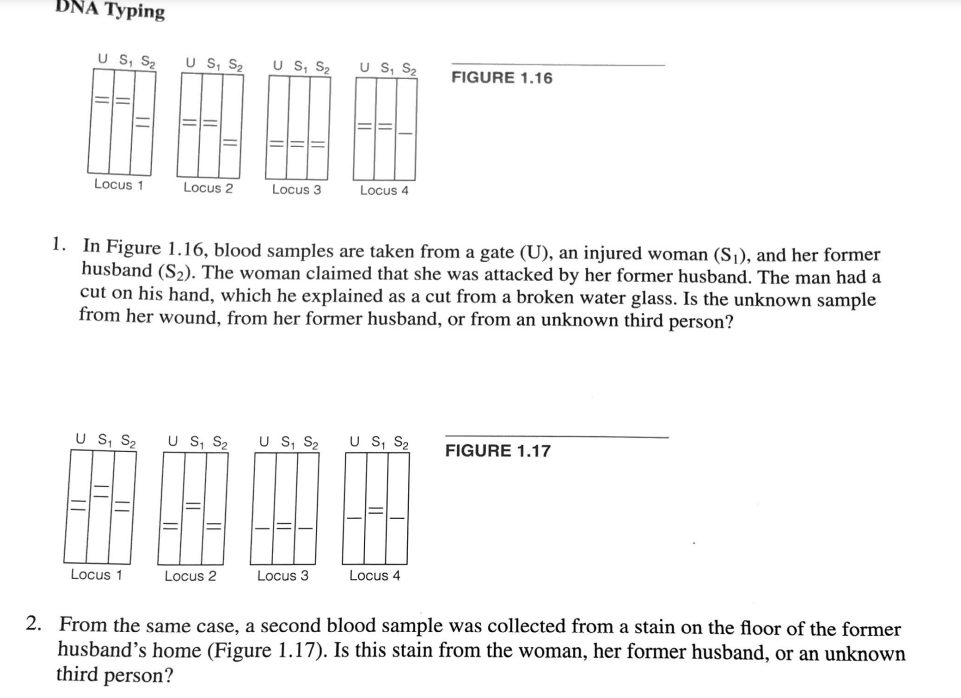 DNA Typing
U S₁ S₂ U S₁ S₂ U S₁ S₂ U S₁ S₂
0000
Locus 2
Locus 3
Locus 1
U S₁ S₂
1. In Figure 1.16, blood samples are taken from a gate (U), an injured woman (S₁), and her former
husband (S₂). The woman claimed that she was attacked by her former husband. The man had a
cut on his hand, which he explained as a cut from a broken water glass. Is the unknown sample
from her wound, from her former husband, or from an unknown third person?
Locus 1
U S₁ S₂
Locus 2
U S₁ S₂
Locus 4
Locus 3
U S₁ S₂
FIGURE 1.16
Locus 4
FIGURE 1.17
2. From the same case, a second blood sample was collected from a stain on the floor of the former
husband's home (Figure 1.17). Is this stain from the woman, her former husband, or an unknown
third person?