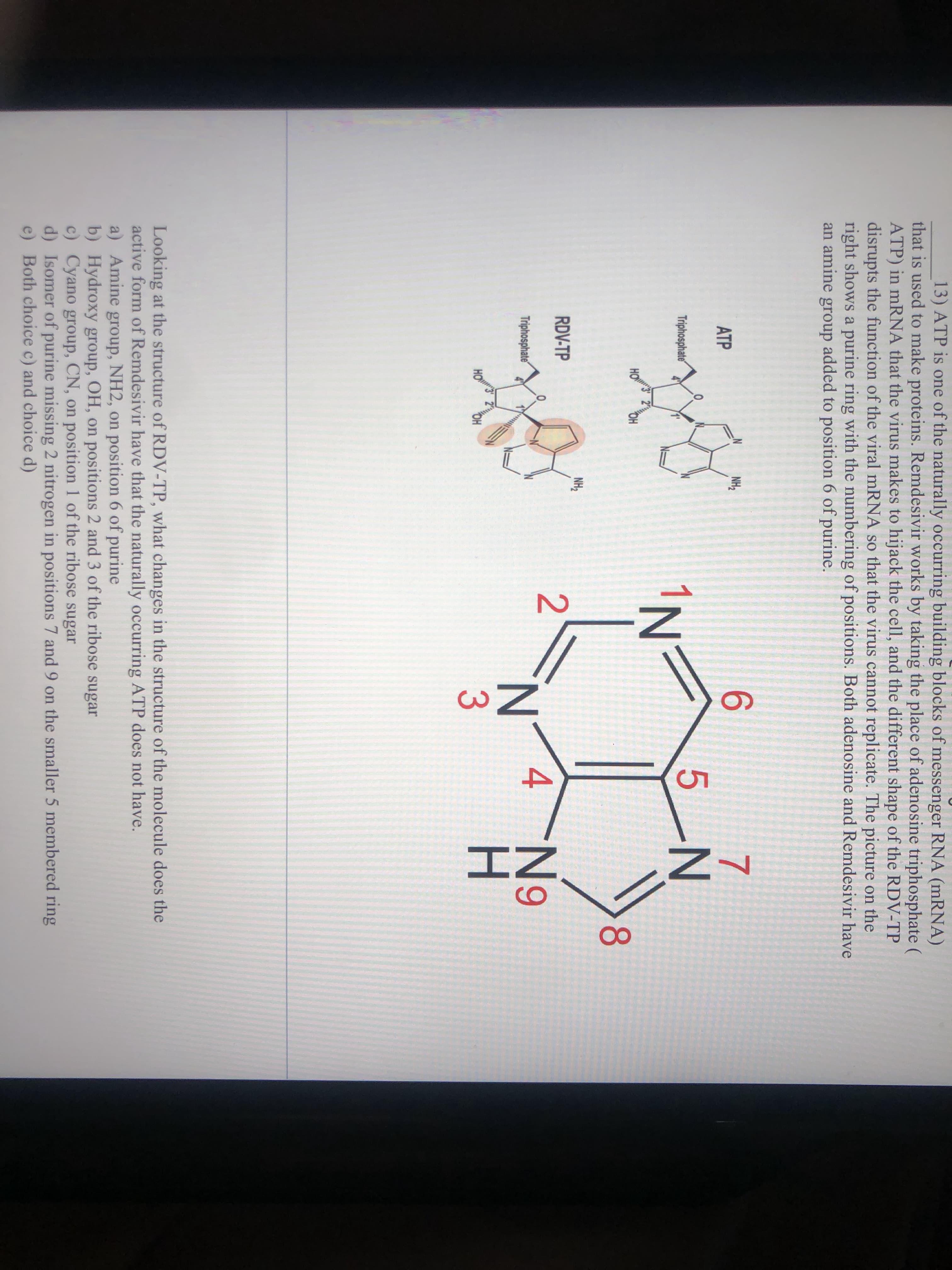 Looking at the structure of RDV-TP, what changes in the structure of the molecule does the
active form of Remdesivir have that the naturally occurring ATP does not have.
a) Amine group, NH2, on position 6 of purine
