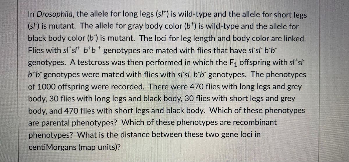 In Drosophila, the allele for long legs (sl*) is wild-type and the allele for short legs
(sl) is mutant. The allele for gray body color (b*) is wild-type and the allele for
black body color (b') is mutant. The loci for leg length and body color are linked.
Flies with sl*sl* b*b* genotypes are mated with flies that have sl s bb
genotypes. A testcross was then performed in which the F, offspring with sl*sl
b*b genotypes were mated with flies with sl sl. b'b genotypes. The phenotypes
of 1000 offspring were recorded. There were 470 flies with long legs and grey
body, 30 flies with long legs and black body, 30 flies with short legs and grey
body, and 470 flies with short legs and black body. Which of these phenotypes
are parental phenotypes? VWhich of these phenotypes are recombinant
phenotypes? What is the distance between these two gene loci in
centiMorgans (map units)?
