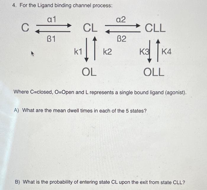 4. For the Ligand binding channel process:
a1
a2
C
CL
CLL
B1
B2
k1
k2
K3
K4
OL
OLL
Where C=closed, O=Open and L represents a single bound ligand (agonist).
A) What are the mean dwell times in each of the 5 states?
B) What is the probability of entering state CL upon the exit from state CLL?
