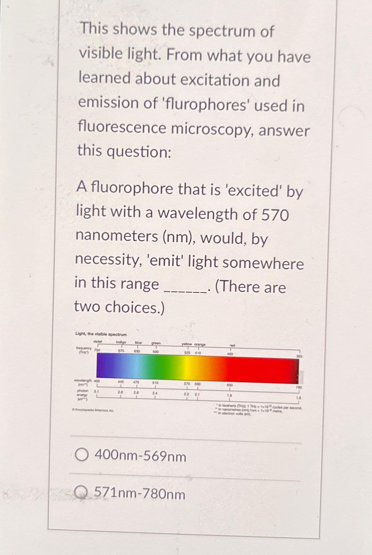 This shows the spectrum of
visible light. From what you have
learned about excitation and
emission of 'flurophores' used in
fluorescence microscopy, answer
this question:
A fluorophore that is 'excited' by
light with a wavelength of 570
nanometers (nm), would, by
necessity, 'emit' light somewhere
in this range ___. (There are
two choices.)
Light, the visible spectrum
violet
Indigo
675
r
frequency 750
(THE)
wavelength 400
photon 3.1
energy
(1)
Encyclopedia Britannica, Inc.
445
2.8
1
blue
T
630
475
1
2.6
1
groen
500
510
24
1
yellow orange
525 510
570 590
1
2.2 21
400nm-569nm
Q571nm-780nm
red
460
650
1.9
380
780
1.6
in terahertz (THz: 1 THz - 1x102 cycles per second.
in nanometres (nm); 1nm 1x10 metre.
in electron volts (V)