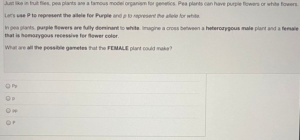 Just like in fruit flies, pea plants are a famous model organism for genetics. Pea plants can have purple flowers or white flowers.
Let's use P to represent the allele for Purple and p to represent the allele for white.
In pea plants, purple flowers are fully dominant to white. Imagine a cross between a heterozygous male plant and a female
that is homozygous recessive for flower color.
What are all the possible gametes that the FEMALE plant could make?
O Pp
O p
dd

